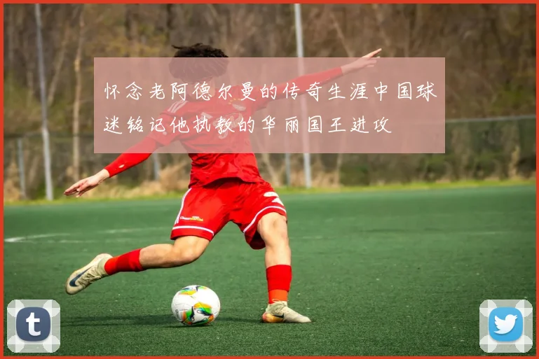 怀念老阿德尔曼的传奇生涯中国球迷铭记他执教的华丽国王进攻