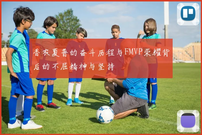 香农夏普的奋斗历程与FMVP荣耀背后的不屈精神与坚持